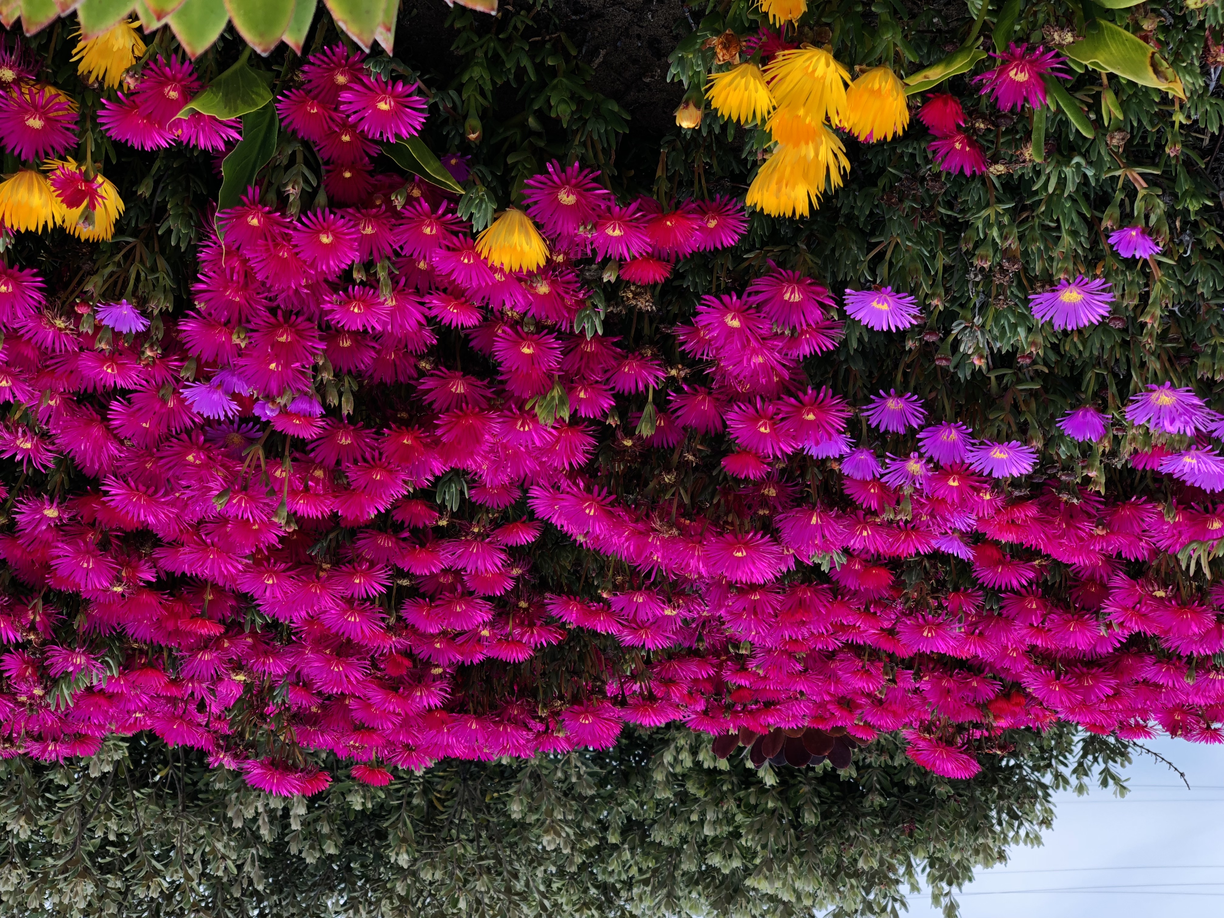 صورة 2